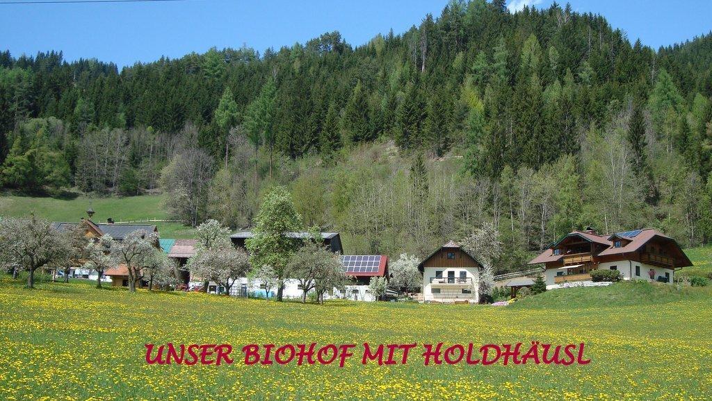 Апартаменты Holdhaeusl Шладминг Номер фото